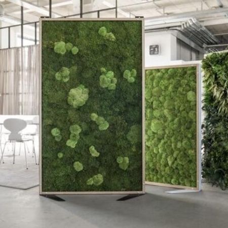 Trennwand Pflanze, Büro, München